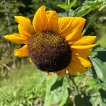 Mark Hatch - @markphatch - Instagram