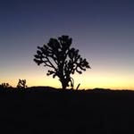 Mark Hatch - @hatch_mark - Instagram