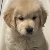 Mark Hatton - @mark.hatton5 - TikTok