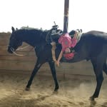 Mark Hauck - @mark_hauck1 - Instagram