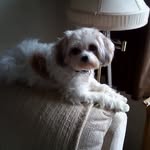 mark havers - @markhavers - Instagram