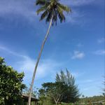 Mark Hawke - @markhawke54 - Instagram