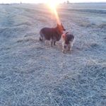 Mark Hawkes - @mark.hawkes.988 - Instagram