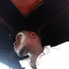 official Lincoln - @markhazard_ - TikTok