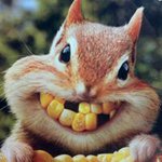 Mark Hazeltine - @markhazeltine - Instagram