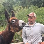 Mark Hazelton - @markphazelton - Instagram