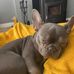 Mark Hazelton - Facebook