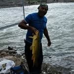 Mark Headley - @mark_headley - Instagram