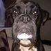 Mark Headland - Facebook