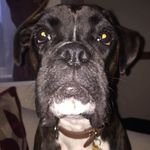 Mark Headland - @mark.headland.1 - Instagram
