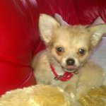 Mark Healey - @couchpotato32hotmailcom - Instagram