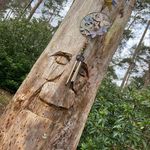 Mark Healey - @marcos.healey - Instagram