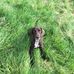 Mark Hearns - Facebook