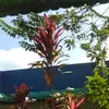Mark Heatherly - @markheatherly9480 - TikTok