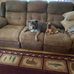 Mark Hebert - Facebook
