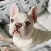 Mark Henderson - @mark.henderson179 - TikTok