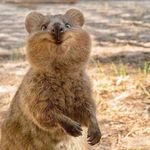 Mark Hendricks - @themarkhendricks - Instagram