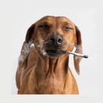 Mark Hendricks - @they_c_mer0wling - Instagram