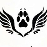 Mark Heneghan - @markheneghan280 - Instagram