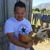 Mark Hens - @mark_hens - TikTok