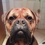 Mark Herbert - @markherbert73 - Instagram