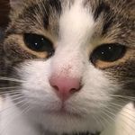 Mark Hermans - @markhermans73 - Instagram