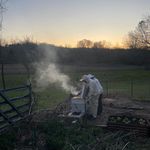 Mark Hermans - @hermans.mark - Instagram