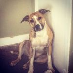 Mark Heron - @heron1298 - Instagram