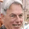 Mark heron - @markharmon2124 - TikTok