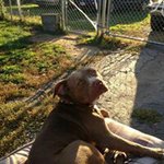 Mark Herrmann - @herrmann.mark - Instagram