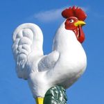 Mark Hershey Farms - @mhfarms_inc - Instagram