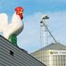 Save The Mark Hershey Farms Chicken - Facebook
