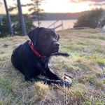 Mark Hertenstein - @markhertenstein - Instagram