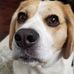 Mark Hickerson - Facebook