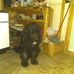 Mark Hickok - Facebook