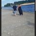 Mark Hickok - Facebook
