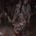 Mark Hickok - Facebook