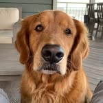 Mark Higgins - @markhigginspvb - Instagram