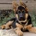 Mark Hill - Facebook