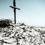 Mark Hillis - @car1si - Instagram
