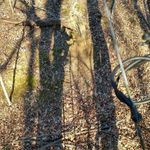 Mark Hinchman - @mark_hinchman0321 - Instagram