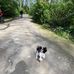 Mark Hunchman - Facebook