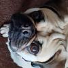 markhinkley726 - @markhinkley726 - TikTok