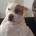 Mark Hinman - Facebook