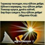МАРХОБА.  НАСРУЛАЕВА. - @markhoba.n - Instagram