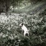 Mark Hoban - @raidersofthelostskip - Instagram
