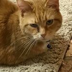 Mark Hobgood - @markhobgood - Instagram