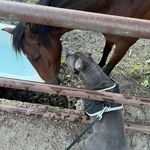 Mark Hobson - @mark.hobson.9809 - Instagram
