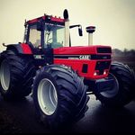 Mark Hodges - @mark.hodges.545402 - Instagram
