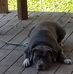 Mark Hodges - Facebook
